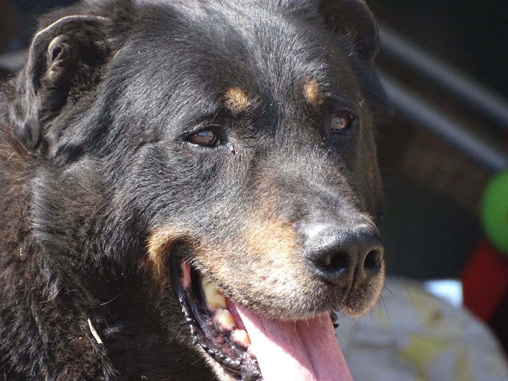 Doser des Trois Rocs